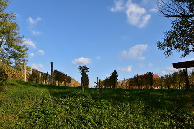 Scenic view of grassy field against cloudy sky