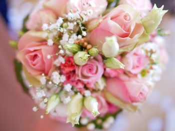 Close-up of pink rose bouquet