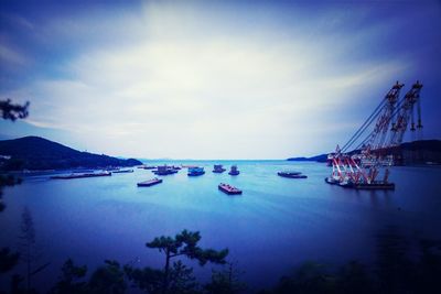 Boats in harbor