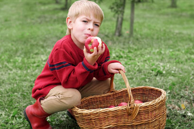 Portrait of cute baby boy holding wicker basket