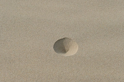 High angle view of footprints on sand