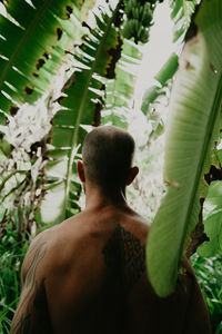 View from behind man walking in the jungle