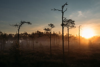 Silhouette trees on field against sky during sunset