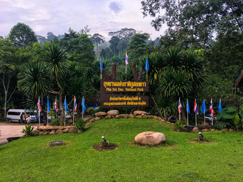 View of an trees on grass