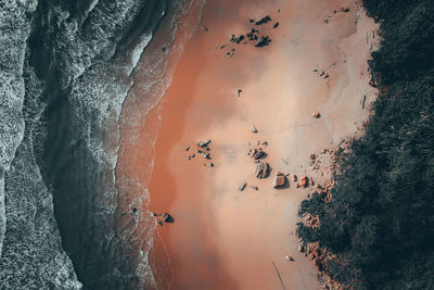 Panoramic shot of trees on land during sunset