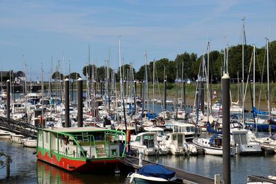 Sailboats moored on harbor against sky