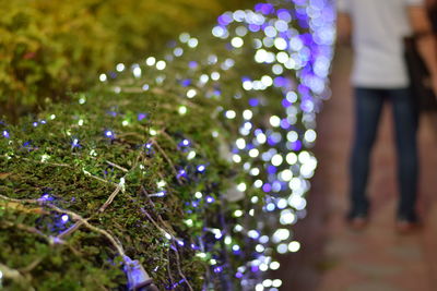 Close-up of illuminated christmas tree