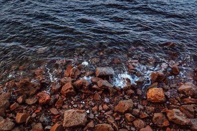High angle view of rocks in sea