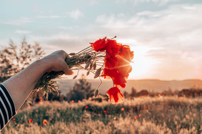 Close-up of hand holding orange flower on field