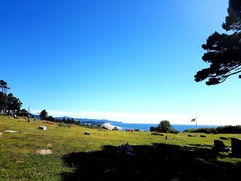 Scenic view of landscape against clear blue sky