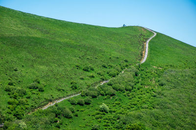 View of the crater of the puy pariou volcano