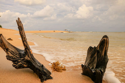 Scenic view of beach against sky
