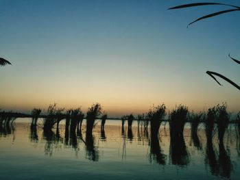 Silhouette birds flying over lake against sky during sunset