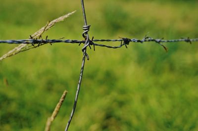 Close-up of barbed wire