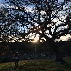 Rear view of silhouette woman walking on bare tree