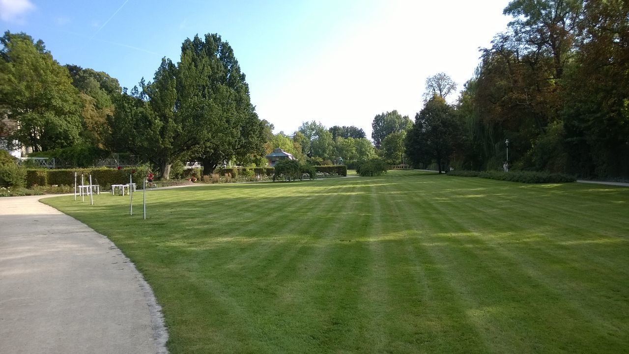 VIEW OF GOLF COURSE AGAINST TREES