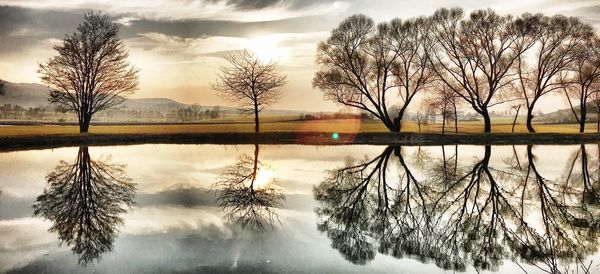 Reflection of bare trees in lake against sky