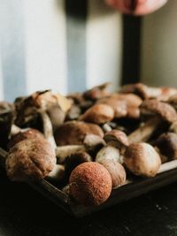Close-up of mushrooms on table