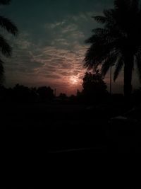 Silhouette trees against sky during sunset