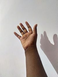 Close-up of human hand against white background