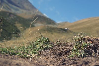 Surface level of land against sky