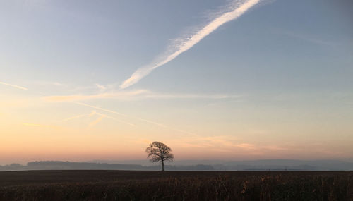 Scenic view of field against sky during sunset