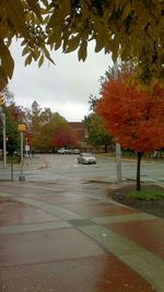 Road passing through autumn trees