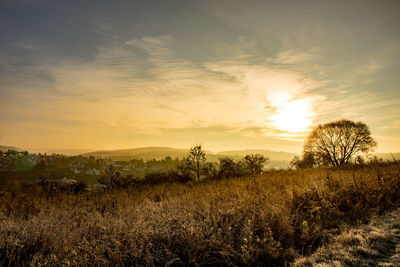 Scenic view of field against sky during sunset