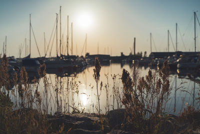 Boats in harbor