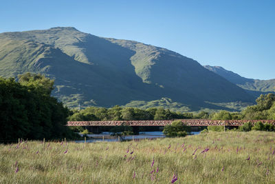 Scenic view of field and mountains against sky