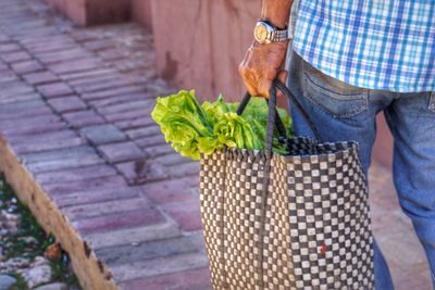 Midsection of man carrying vegetable in bag