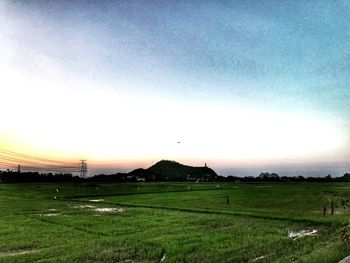 Scenic view of agricultural field against sky