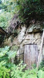 Close-up of wooden door