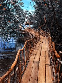 Footbridge over river amidst trees