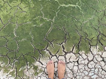 Low section of woman standing on ground