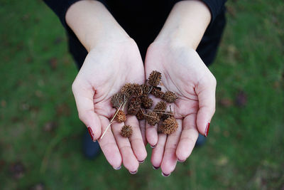 Close-up of hand holding butterfly