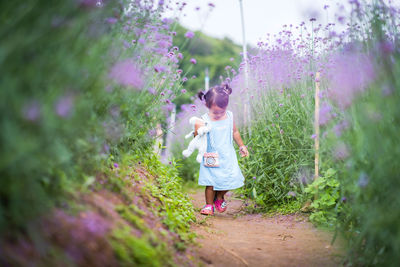 Girl walking on footpath amidst flowers on field