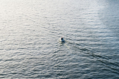 High angle view of man in sea