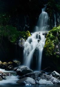 Scenic view of waterfall in forest