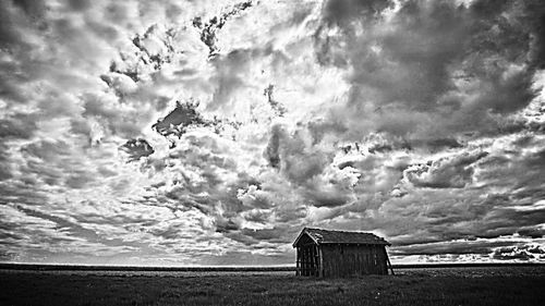 Horse against sky