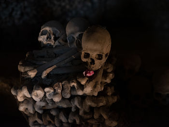 Close-up of human skull