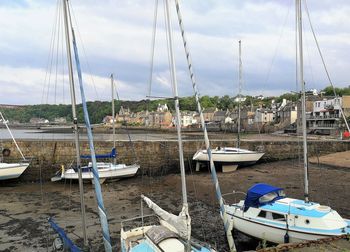 Sailboats moored at harbor