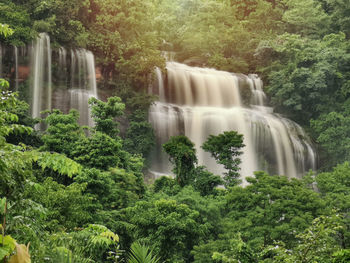 Scenic view of waterfall in forest