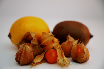 Close-up of fruits on table against white background