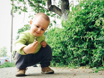 Portrait of cute boy standing on tree trunk