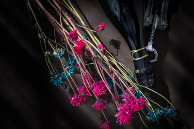 Low angle view of pink flower hanging on plant