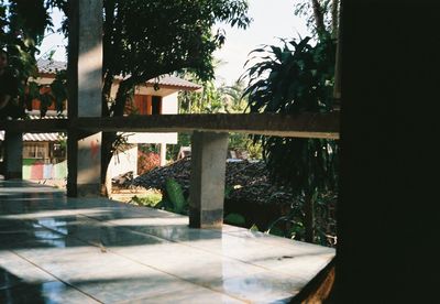 Trees and building seen through glass window