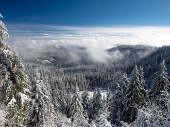 Aerial view of snow-covered forest against cloudy blue sky