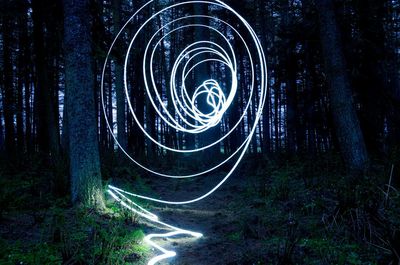 Light painting amidst trees in forest at night