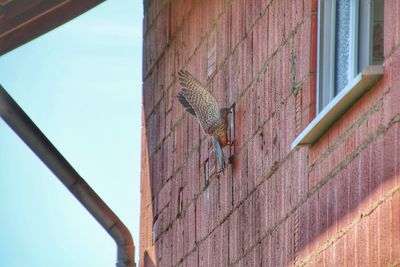Low angle view of a wall